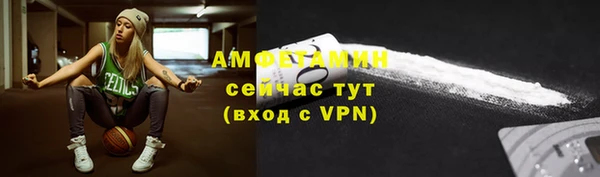 молекула духа Богородск