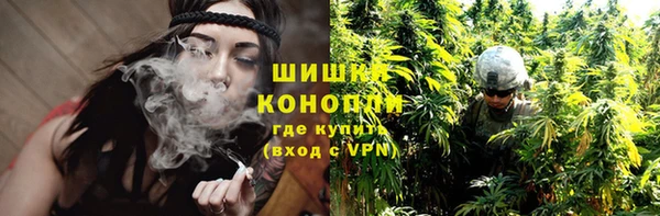 молекула духа Богородск