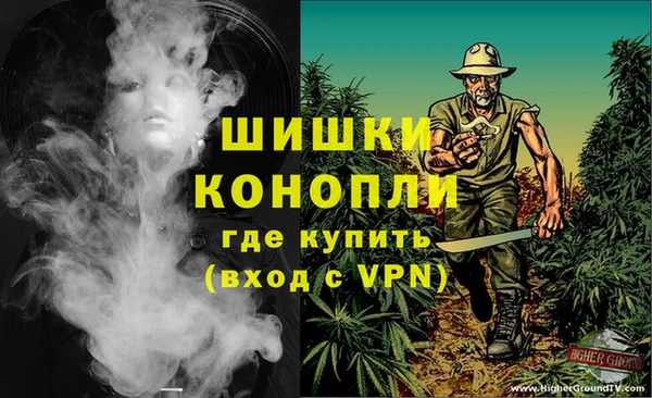 молекула духа Богородск