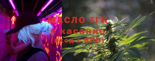 молекула духа Богородск