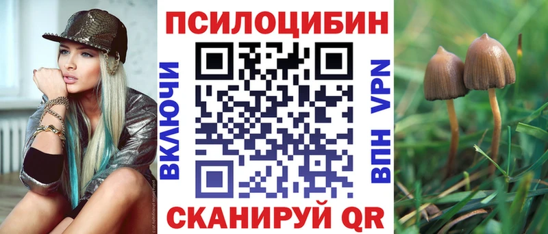 Купить где  Макушино  Псилоцибиновые грибы прущие грибы 